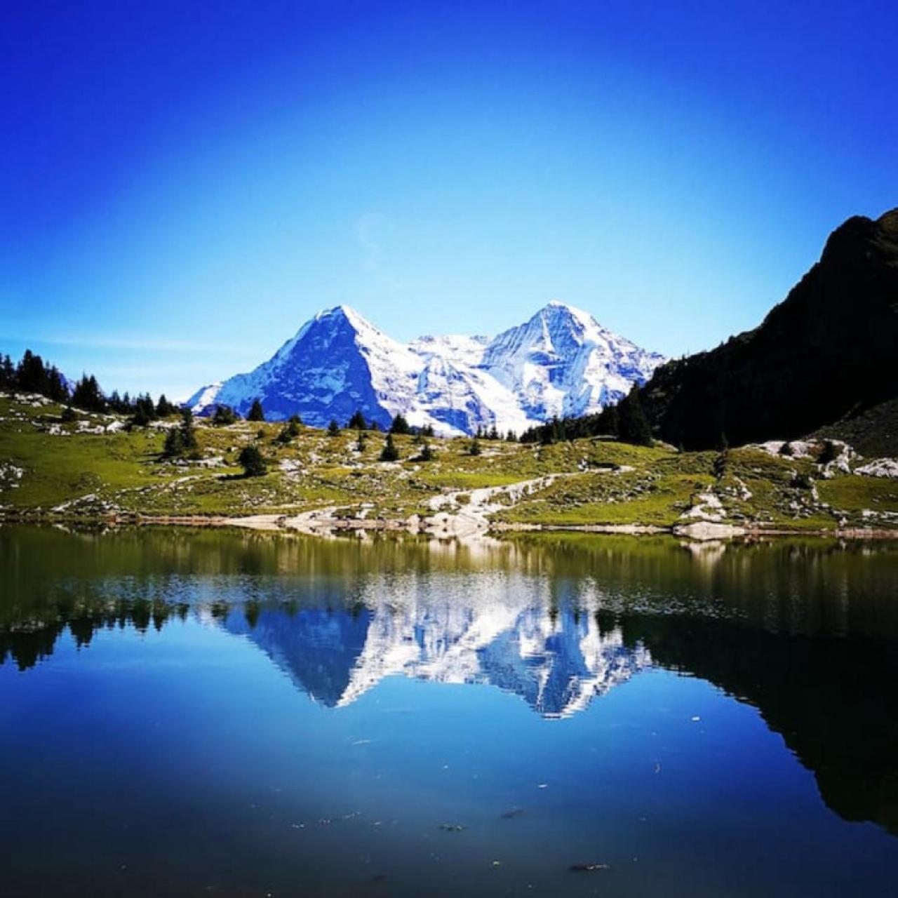 Swisshut Modern 5min West Station - Apart. Rugen 2 Holiday home Interlaken